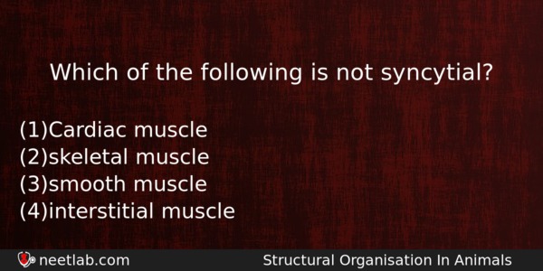 Which Of The Following Is Not Syncytial Biology Question 