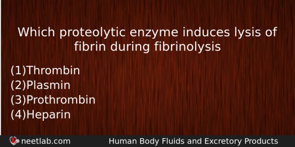 Which Proteolytic Enzyme Induces Lysis Of Fibrin During Fibrinolysis Biology Question 