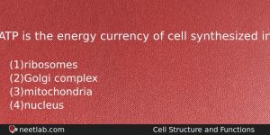 Atp Is The Energy Currency Of Cell Synthesized In Biology Question