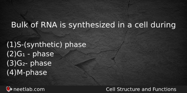 Bulk Of Rna Is Synthesized In A Cell During Biology Question 