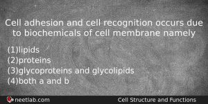 Cell Adhesion And Cell Recognition Occurs Due To Biochemicals Of Biology Question