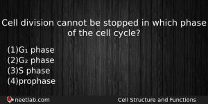Cell Division Cannot Be Stopped In Which Phase Of The Biology Question