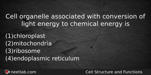 Cell Organelle Associated With Conversion Of Light Energy To Chemical Biology Question 