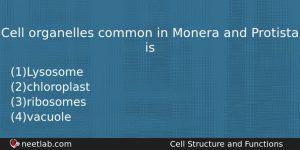 Cell Organelles Common In Monera And Protista Is Biology Question