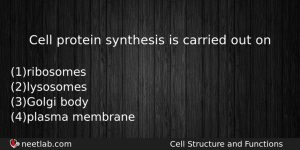 Cell Protein Synthesis Is Carried Out On Biology Question