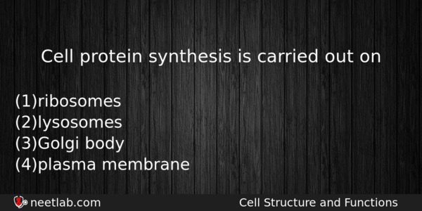 Cell Protein Synthesis Is Carried Out On Biology Question 