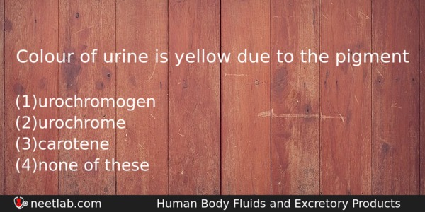 Colour Of Urine Is Yellow Due To The Pigment Biology Question 