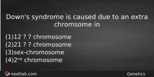 Downs Syndrome Is Caused Due To An Extra Chromsome In Biology Question
