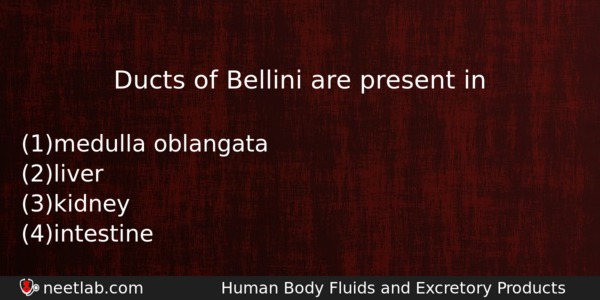 Ducts Of Bellini Are Present In Biology Question 