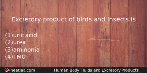 Excretory Product Of Birds And Insects Is Biology Question