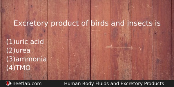 Excretory Product Of Birds And Insects Is Biology Question 