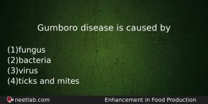 Gumboro Disease Is Caused By Biology Question