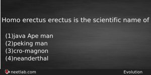 Homo Erectus Erectus Is The Scientific Name Of Biology Question