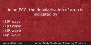 In An Ecg The Depolarisation Of Atria Is Indicated By Biology Question