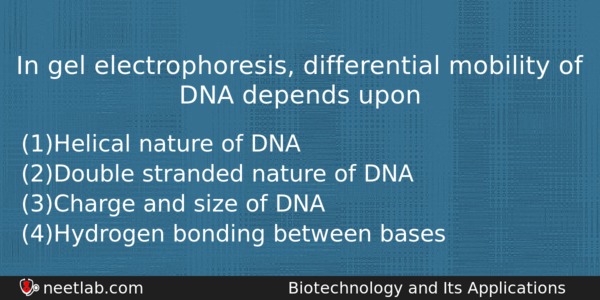 In Gel Electrophoresis Differential Mobility Of Dna Depends Upon Biology Question 