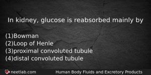 In Kidney Glucose Is Reabsorbed Mainly By Biology Question