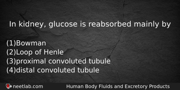 In Kidney Glucose Is Reabsorbed Mainly By Biology Question 
