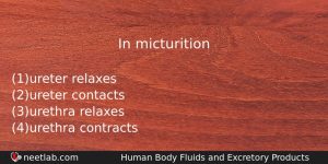 In Micturition Biology Question