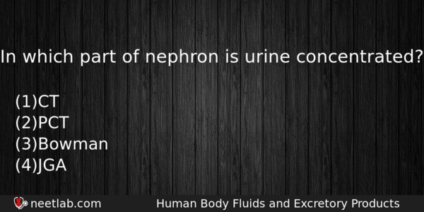 In Which Part Of Nephron Is Urine Concentrated Biology Question 