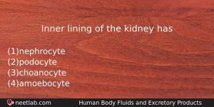 Inner Lining Of The Kidney Has Biology Question