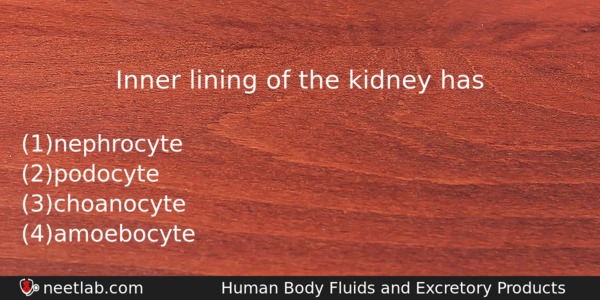 Inner Lining Of The Kidney Has Biology Question 