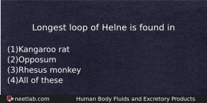 Longest Loop Of Helne Is Found In Biology Question