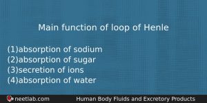 Main Function Of Loop Of Henle Biology Question