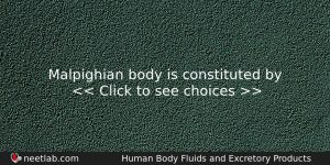 Malpighian Body Is Constituted By Biology Question
