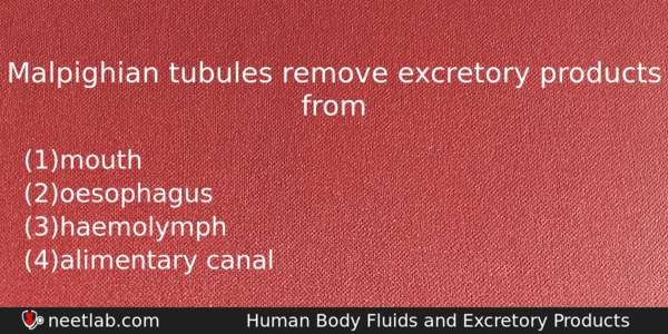 Malpighian Tubules Remove Excretory Products From Biology Question 