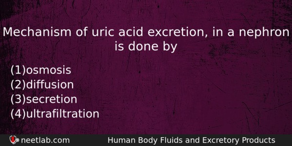 Mechanism Of Uric Acid Excretion In A Nephron Is Done Biology Question 