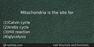 Mitochondria Is The Site For Biology Question