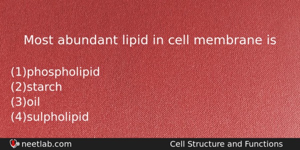 Most Abundant Lipid In Cell Membrane Is Biology Question 