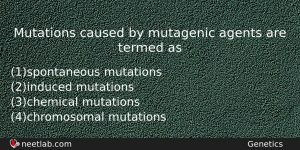 Mutations Caused By Mutagenic Agents Are Termed As Biology Question