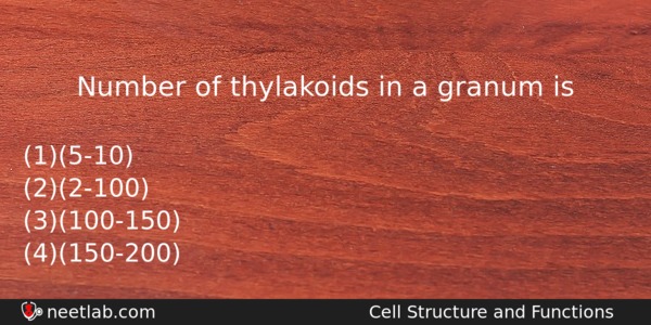 Number Of Thylakoids In A Granum Is Biology Question 