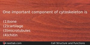One Important Component Of Cytoskeleton Is Biology Question