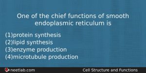 One Of The Chief Functions Of Smooth Endoplasmic Reticulum Is Biology Question