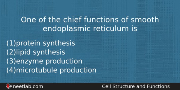 One Of The Chief Functions Of Smooth Endoplasmic Reticulum Is Biology Question 