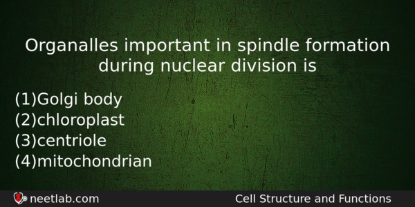 Organalles Important In Spindle Formation During Nuclear Division Is Biology Question 