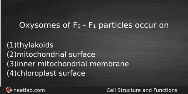 Oxysomes Of F F Particles Occur On Biology Question 