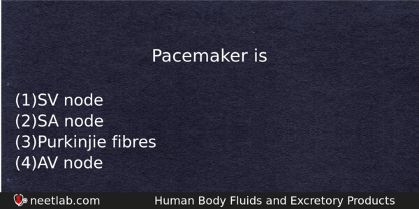Pacemaker Is Biology Question 