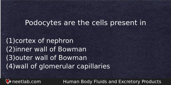 Podocytes Are The Cells Present In Biology Question 