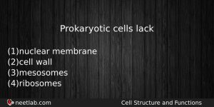 Prokaryotic Cells Lack Biology Question