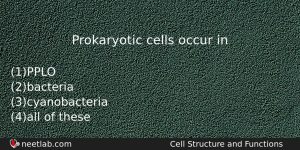 Prokaryotic Cells Occur In Biology Question