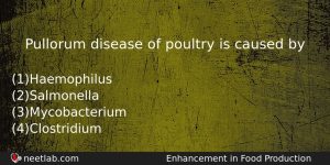 Pullorum Disease Of Poultry Is Caused By Biology Question