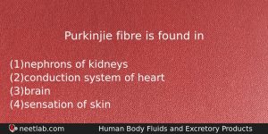 Purkinjie Fibre Is Found In Biology Question