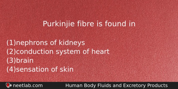 Purkinjie Fibre Is Found In Biology Question 