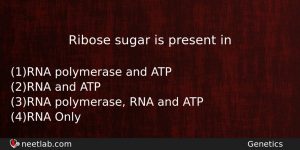 Ribose Sugar Is Present In Biology Question