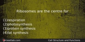 Ribosomes Are The Centre For Biology Question