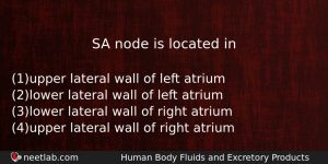 Sa Node Is Located In Biology Question