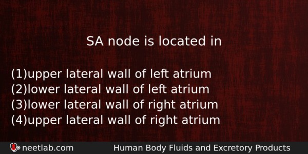 Sa Node Is Located In Biology Question 